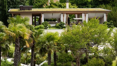 Modern house with green roof and palm trees in the garden