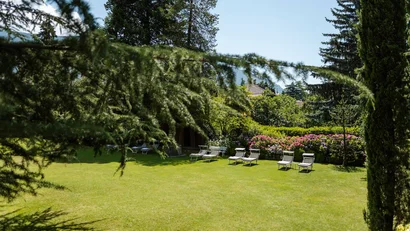 Green garden with lounge chairs and blooming bushes in sunlight