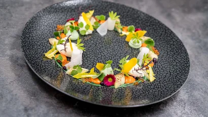 Fein angerichtete Gourmet-Vorspeise auf schwarzem Teller mit verschiedenen Kräutern und Saucen