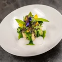 Finely plated gourmet dish with fresh herbs and foam on white plate
