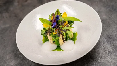 Fein angerichtetes Gourmetgericht mit frischen Kräutern und Schaum auf weißem Teller